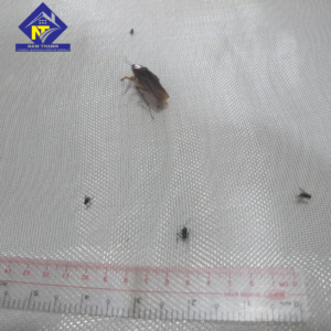 Lưới Inox chống muỗi